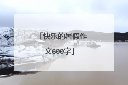 快乐的暑假作文600字