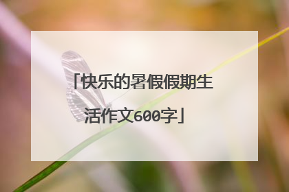 快乐的暑假假期生活作文600字