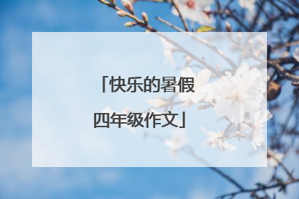 快乐的暑假四年级作文