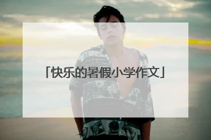 快乐的暑假小学作文