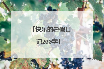 快乐的暑假日记200字