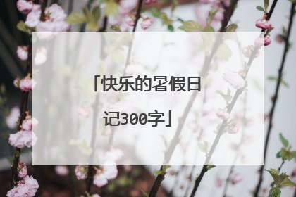 快乐的暑假日记300字