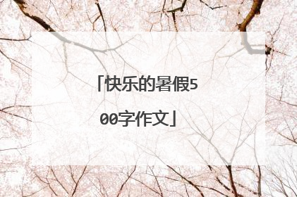 快乐的暑假500字作文