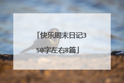 快乐周末日记350字左右8篇