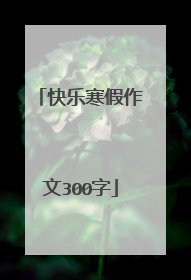 快乐寒假作文300字
