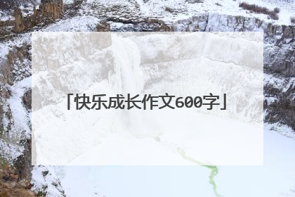 快乐成长作文600字
