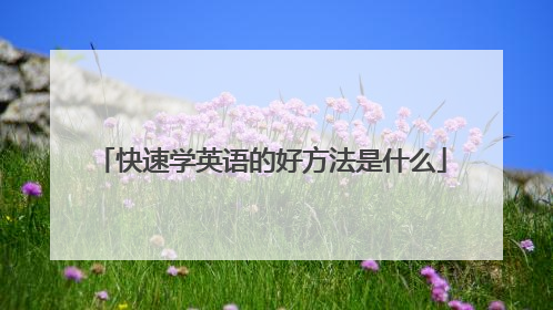 快速学英语的好方法是什么