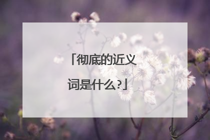 彻底的近义词是什么?