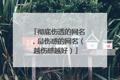 彻底伤透的网名,最伤感的网名(越伤感越好)
