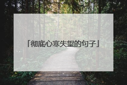 彻底心寒失望的句子