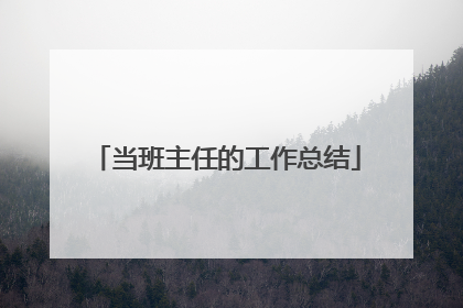 当班主任的工作总结