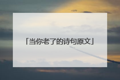 当你老了的诗句原文