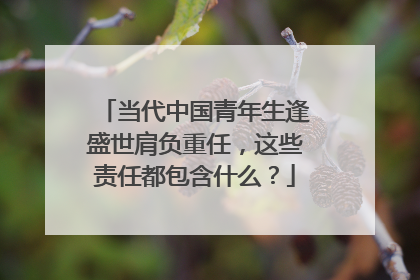 当代中国青年生逢盛世肩负重任，这些责任都包含什么？
