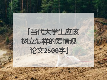 当代大学生应该树立怎样的爱情观论文2500字
