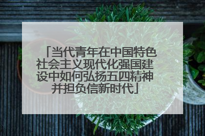 当代青年在中国特色社会主义现代化强国建设中如何弘扬五四精神并担负信新时代