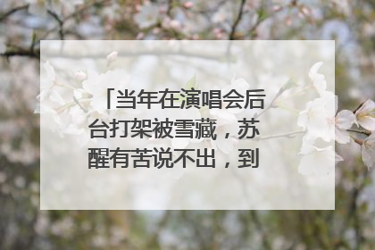 当年在演唱会后台打架被雪藏,苏醒有苦说不出,到底发生了什么?