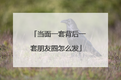 当面一套背后一套朋友圈怎么发