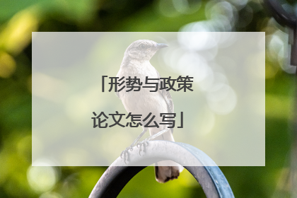 形势与政策论文怎么写