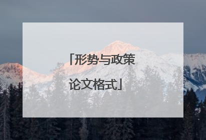 形势与政策论文格式