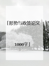 形势与政策论文 1000字