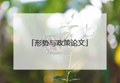 形势与政策论文