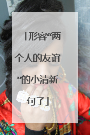 形容“两个人的友谊”的小清新句子