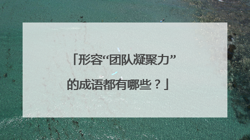 形容“团队凝聚力”的成语都有哪些？