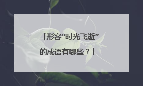 形容“时光飞逝”的成语有哪些?