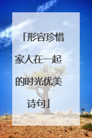 形容珍惜家人在一起的时光优美诗句