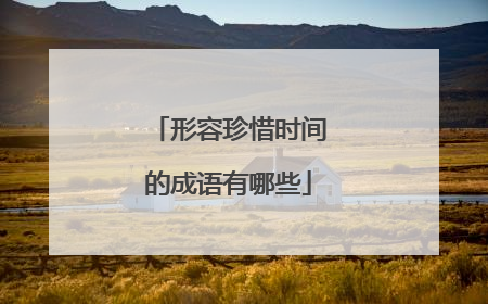 形容珍惜时间的成语有哪些