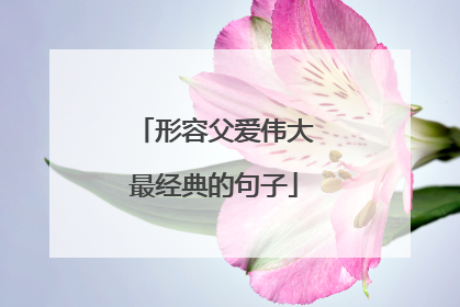 形容父爱伟大最经典的句子