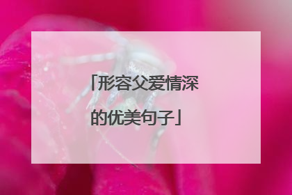 形容父爱情深的优美句子