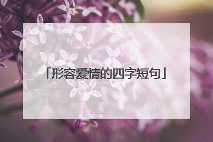 形容爱情的四字短句