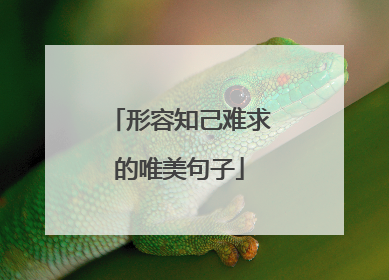 形容知己难求的唯美句子
