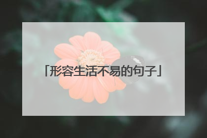 形容生活不易的句子