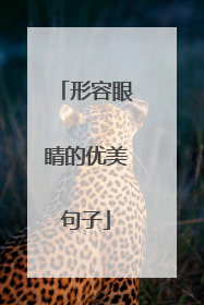 形容眼睛的优美句子