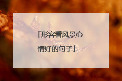 形容看风景心情好的句子