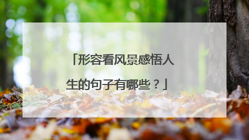 形容看风景感悟人生的句子有哪些?