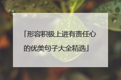 形容积极上进有责任心的优美句子大全精选