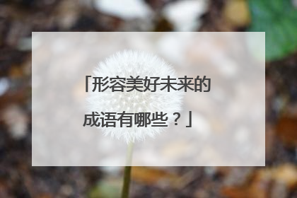 形容美好未来的成语有哪些?