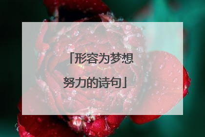 形容为梦想努力的诗句