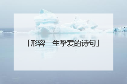形容一生挚爱的诗句
