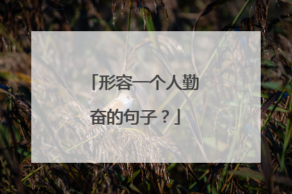 形容一个人勤奋的句子？