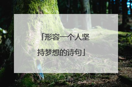 形容一个人坚持梦想的诗句