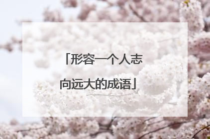 形容一个人志向远大的成语