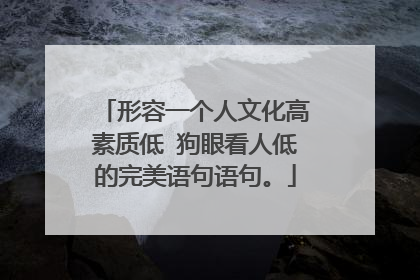 形容一个人文化高素质低 狗眼看人低的完美语句语句。