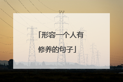 形容一个人有修养的句子