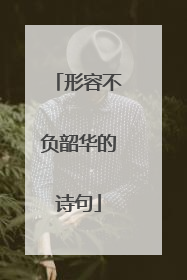 形容不负韶华的诗句