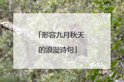 形容九月秋天的浪漫诗句