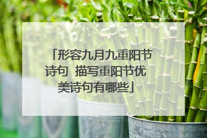 形容九月九重阳节诗句 描写重阳节优美诗句有哪些